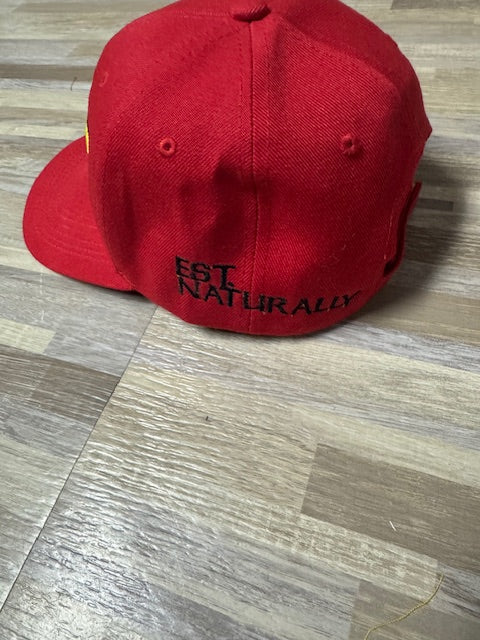3D Puff LOCS Crown Embroidered Hat